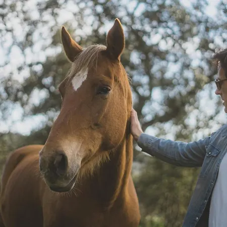 La Dehesa Experiences * Adamuz