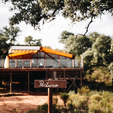 La Dehesa Experiences *