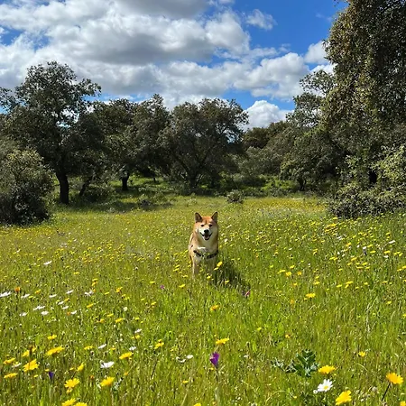 Capsule hotel La Dehesa Experiences