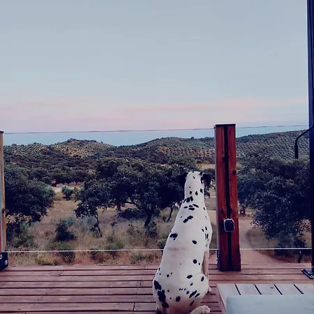 La Dehesa Experiences *