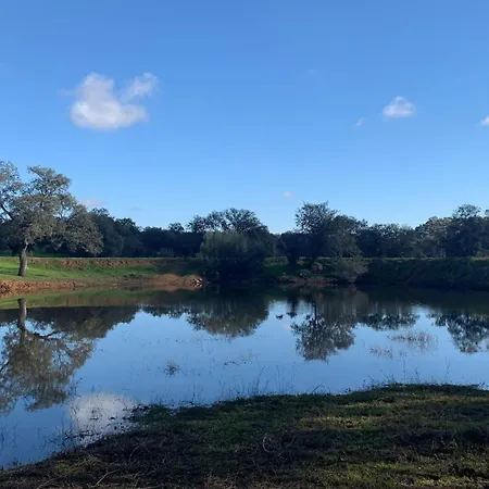 La Dehesa Experiences