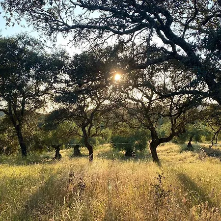 Kapslový hotel La Dehesa Experiences *