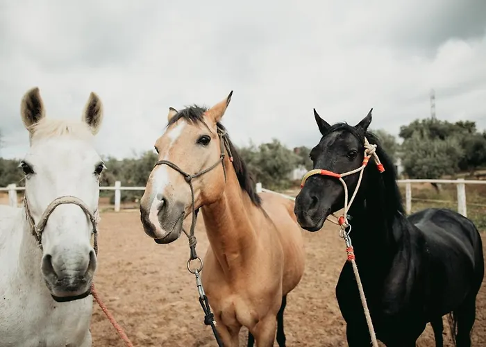 La Dehesa Experiences Hotel Cápsula *