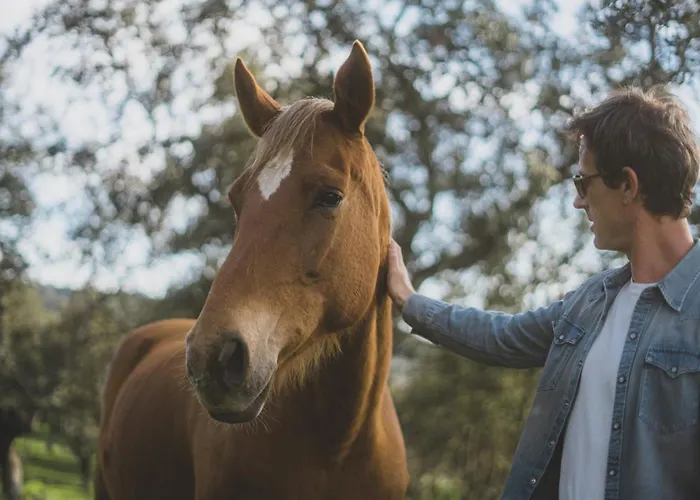 La Dehesa Experiences * Adamuz