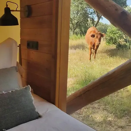 Hotel cápsula La Dehesa Experiences Adamuz
